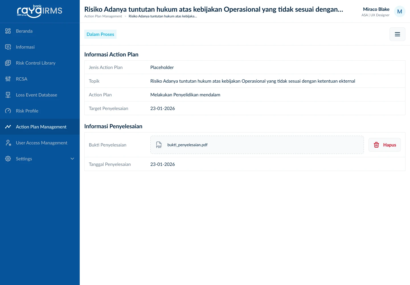 IRMS action plan screen